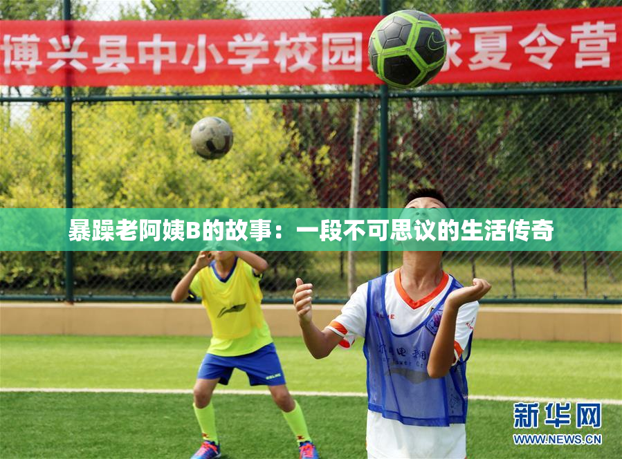 暴躁老阿姨B的故事：一段不可思议的生活传奇