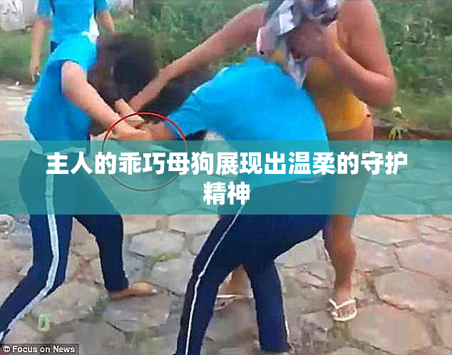 主人的乖巧母狗展现出温柔的守护精神