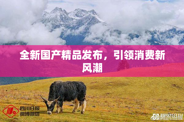 全新国产精品发布，引领消费新风潮