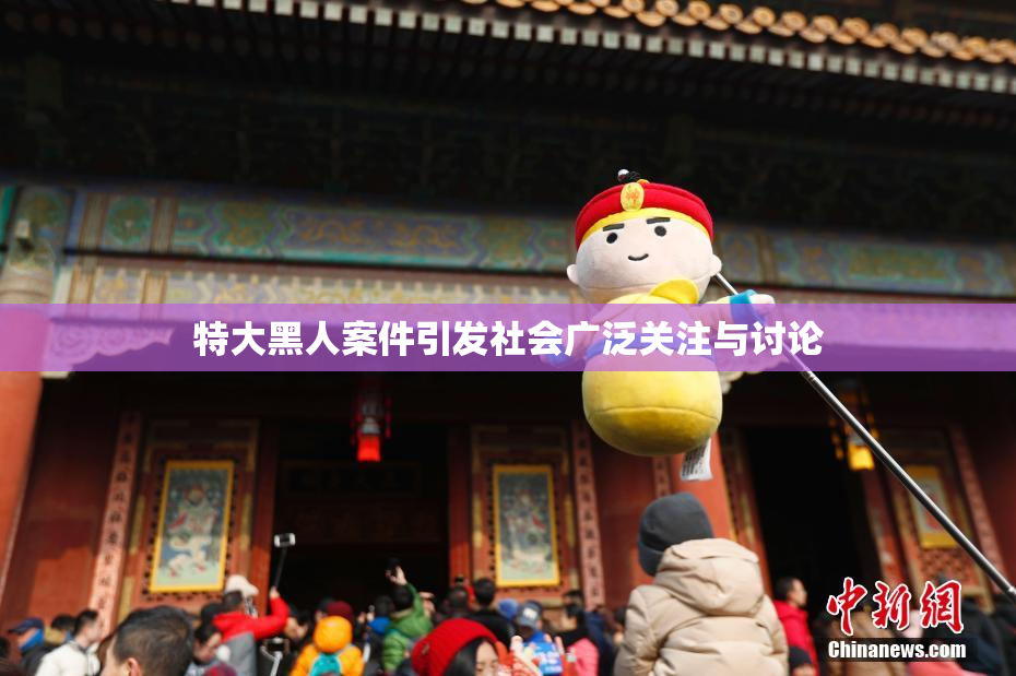 特大黑人案件引发社会广泛关注与讨论