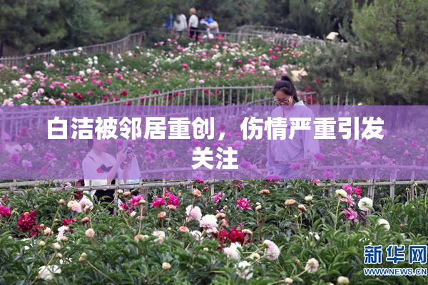 白洁被邻居重创，伤情严重引发关注