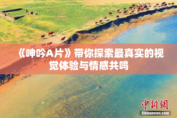 《呻吟A片》带你探索最真实的视觉体验与情感共鸣