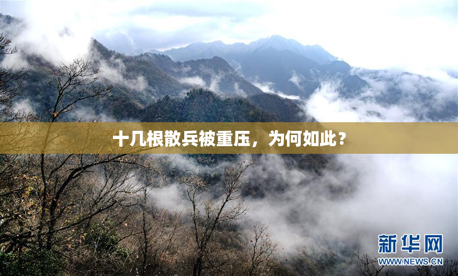 十几根散兵被重压，为何如此？
