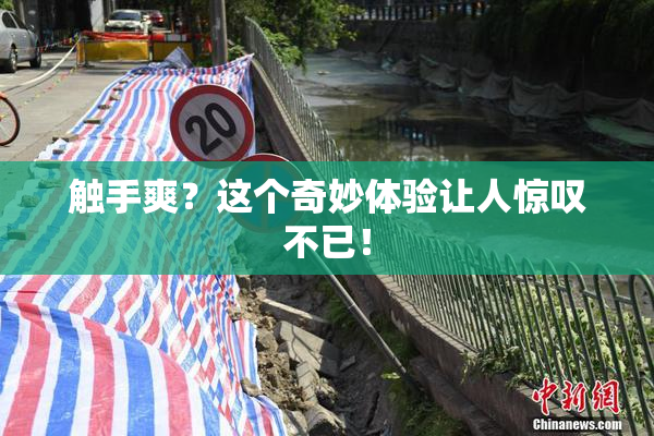 触手爽？这个奇妙体验让人惊叹不已！
