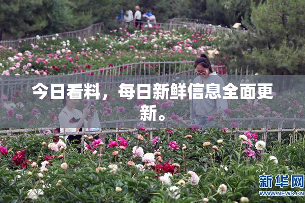 今日看料，每日新鲜信息全面更新。