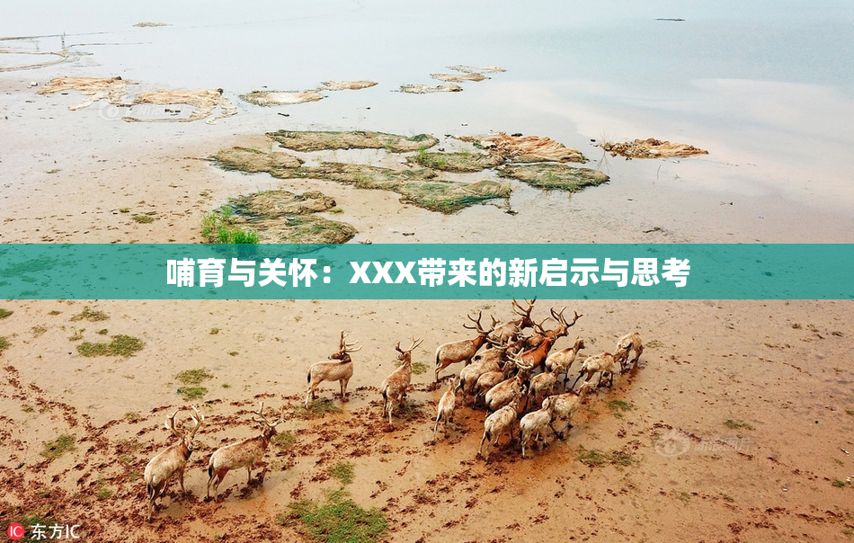 哺育与关怀：XXX带来的新启示与思考