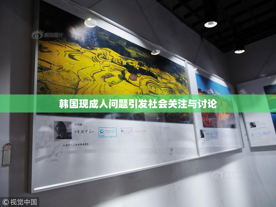 韩国现成人问题引发社会关注与讨论
