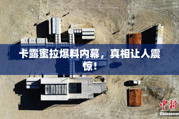 卡露蜜拉爆料内幕，真相让人震惊！