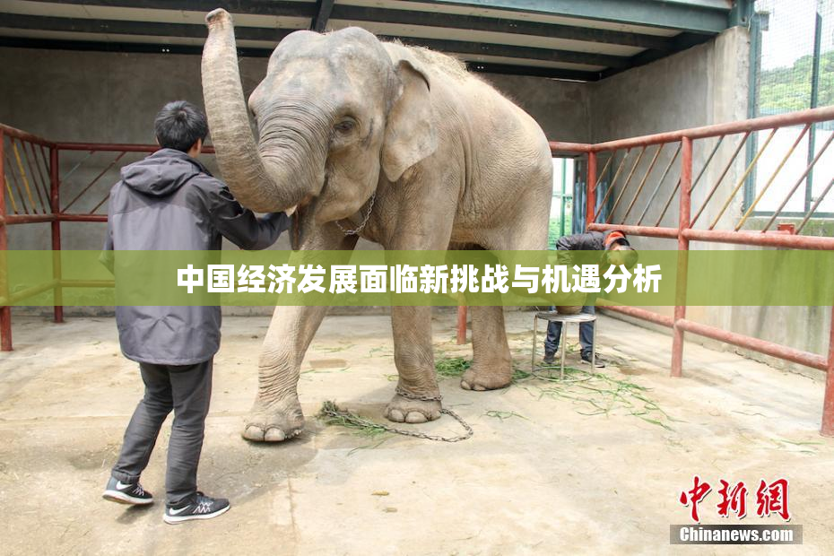 中国经济发展面临新挑战与机遇分析