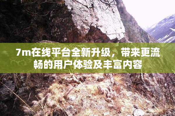 7m在线平台全新升级，带来更流畅的用户体验及丰富内容