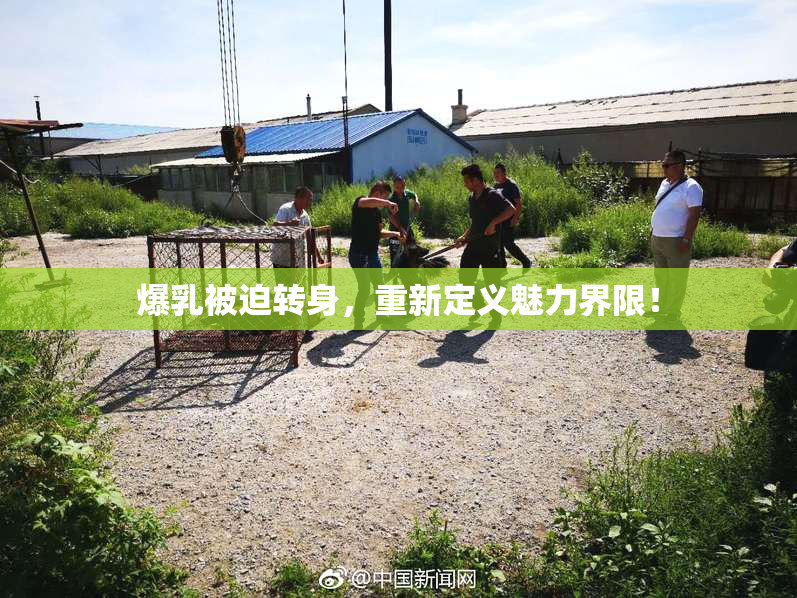 爆乳被迫转身，重新定义魅力界限！