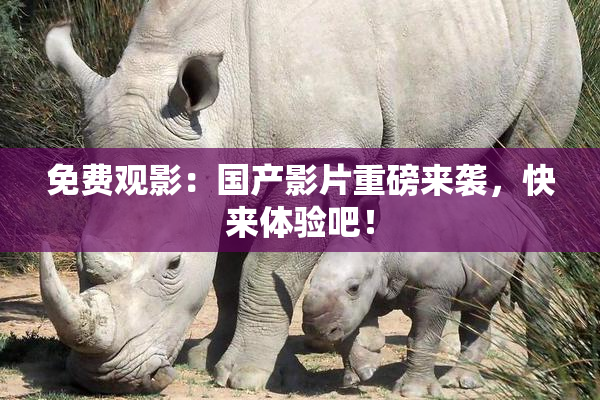 免费观影：国产影片重磅来袭，快来体验吧！