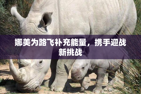 娜美为路飞补充能量，携手迎战新挑战