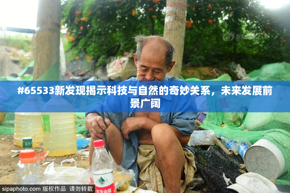 #65533新发现揭示科技与自然的奇妙关系，未来发展前景广阔
