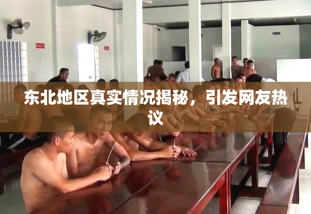 东北地区真实情况揭秘，引发网友热议