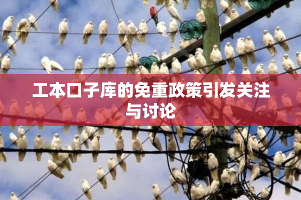 工本口子库的免重政策引发关注与讨论