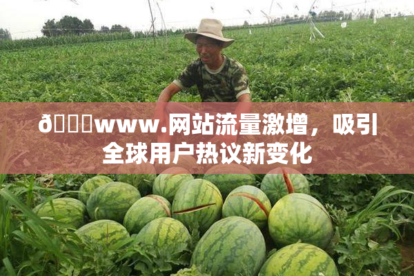 🔞www.网站流量激增，吸引全球用户热议新变化