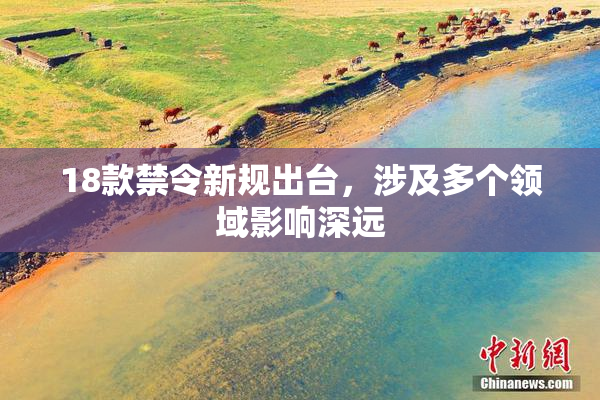 18款禁令新规出台，涉及多个领域影响深远