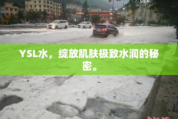YSL水，绽放肌肤极致水润的秘密。