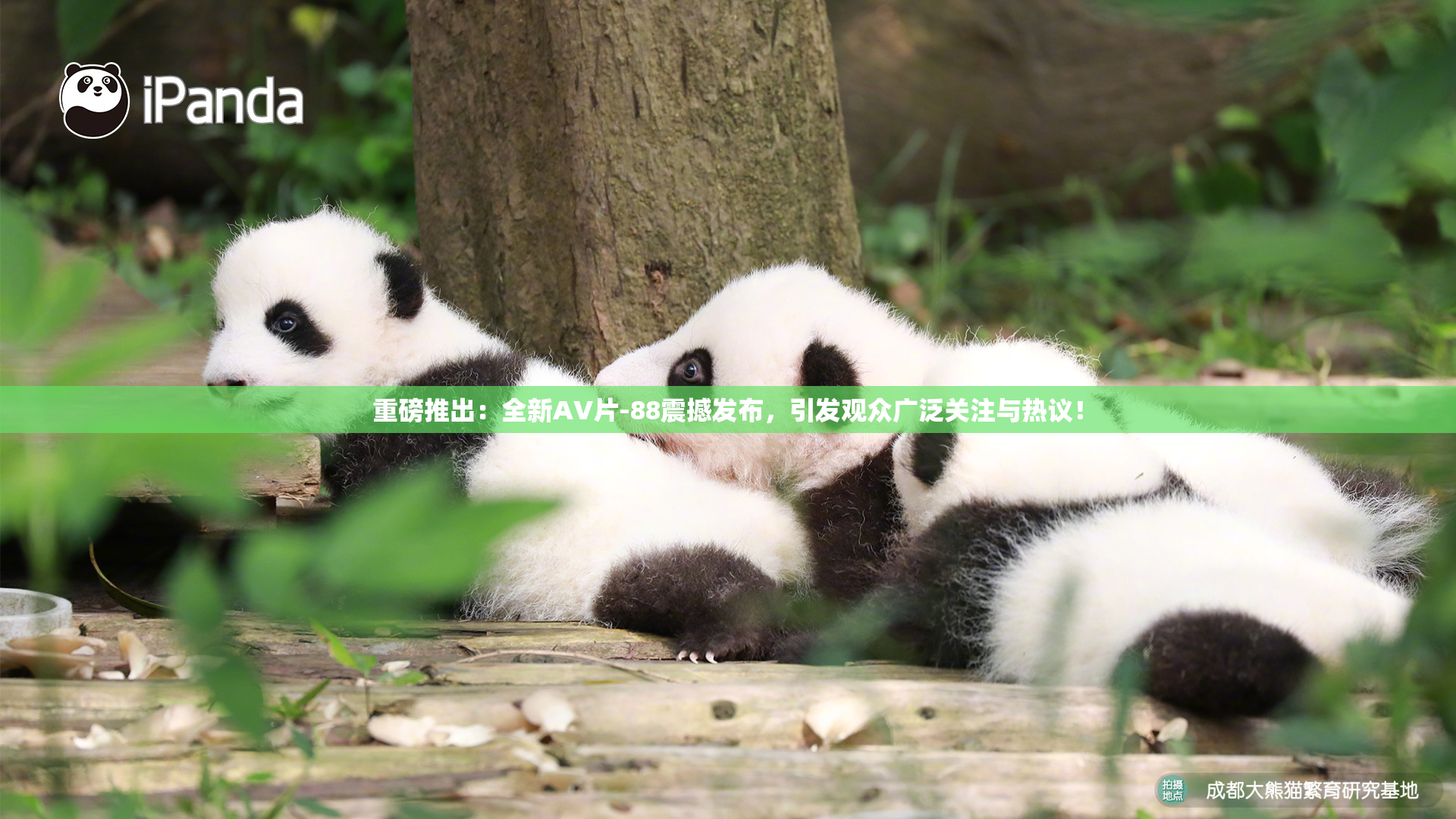 重磅推出：全新AV片-88震撼发布，引发观众广泛关注与热议！