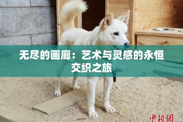 无尽的画廊：艺术与灵感的永恒交织之旅