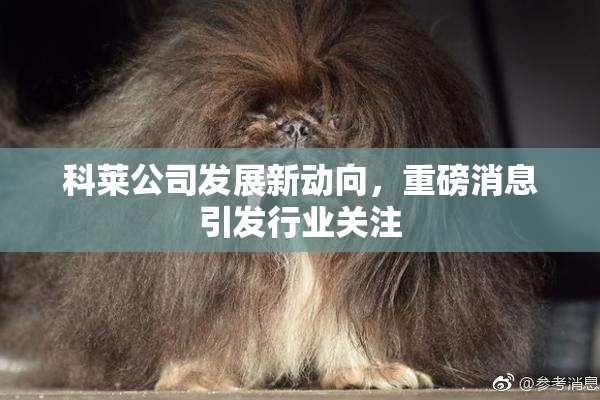科莱公司发展新动向，重磅消息引发行业关注