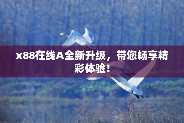 x88在线A全新升级，带您畅享精彩体验！