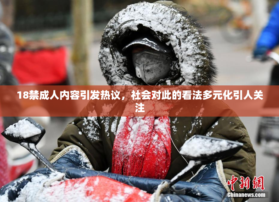 18禁成人内容引发热议，社会对此的看法多元化引人关注