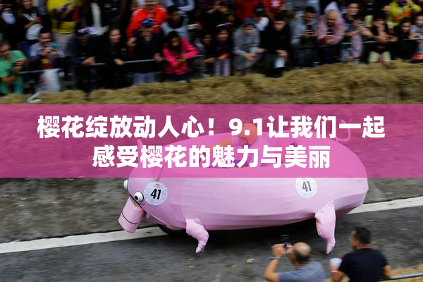 樱花绽放动人心！9.1让我们一起感受樱花的魅力与美丽