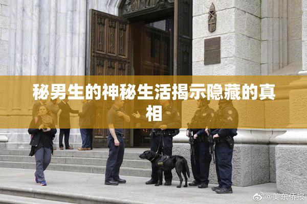 秘男生的神秘生活揭示隐藏的真相