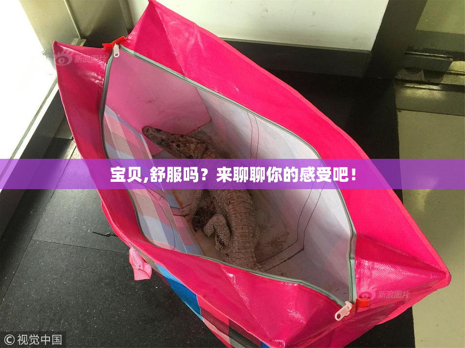 宝贝,舒服吗？来聊聊你的感受吧！