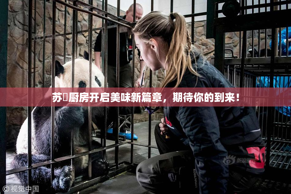 苏玥厨房开启美味新篇章，期待你的到来！