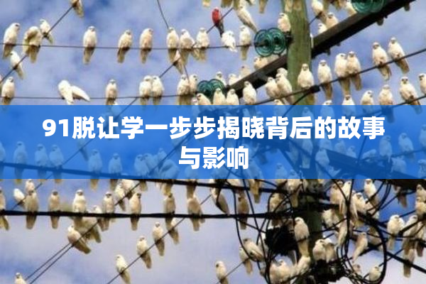 91脱让学一步步揭晓背后的故事与影响