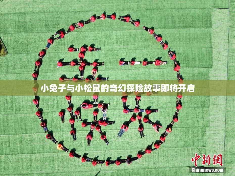 小兔子与小松鼠的奇幻探险故事即将开启