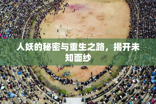 人妖的秘密与重生之路，揭开未知面纱