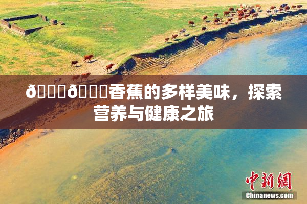 🔞🔞香蕉的多样美味，探索营养与健康之旅