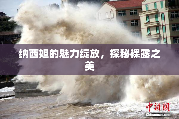 纳西妲的魅力绽放，探秘裸露之美