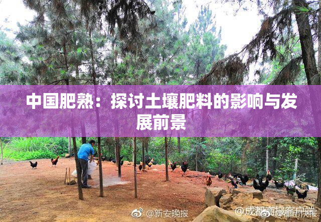 中国肥熟：探讨土壤肥料的影响与发展前景