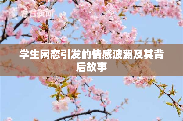 学生网恋引发的情感波澜及其背后故事