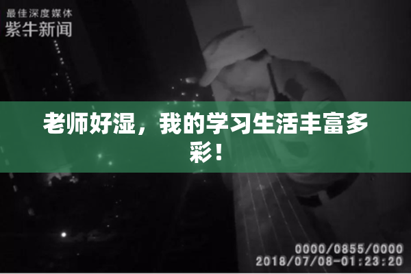 老师好湿，我的学习生活丰富多彩！