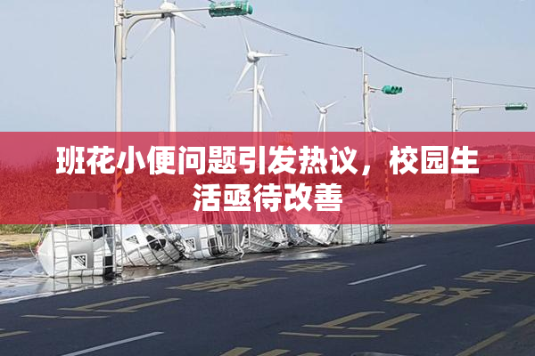 班花小便问题引发热议，校园生活亟待改善