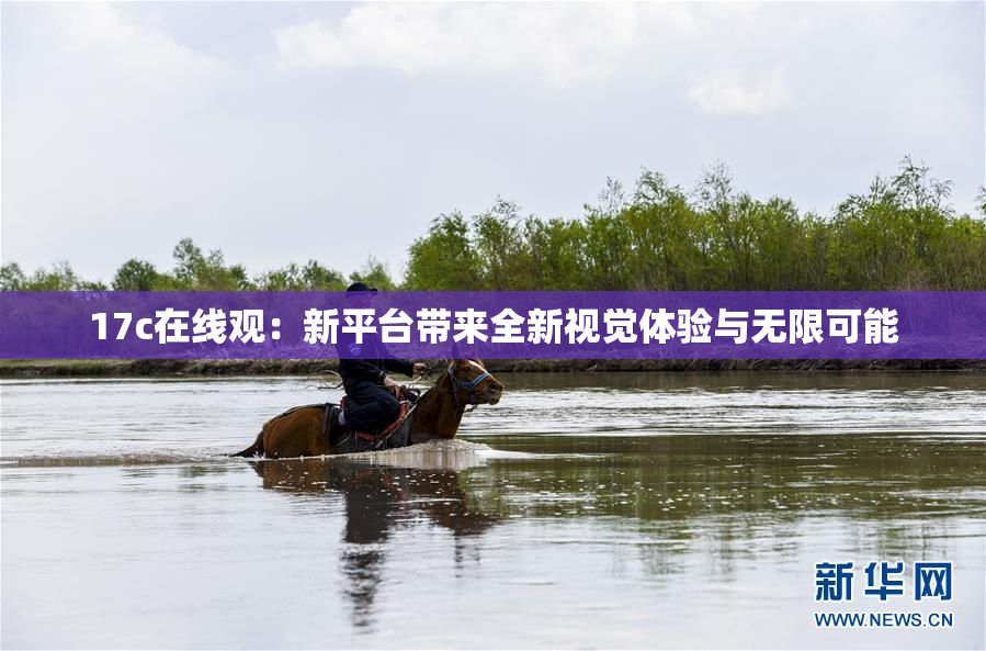 17c在线观：新平台带来全新视觉体验与无限可能