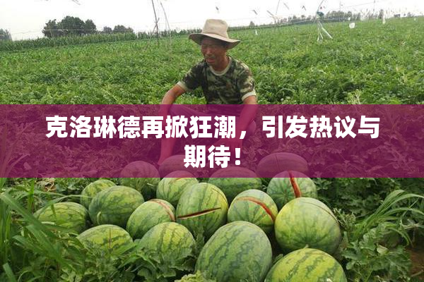 克洛琳德再掀狂潮，引发热议与期待！