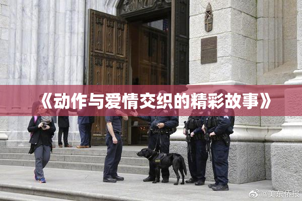 《动作与爱情交织的精彩故事》