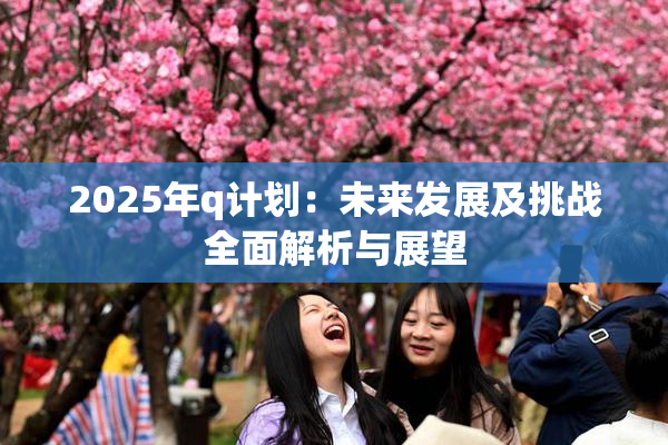 2025年q计划：未来发展及挑战全面解析与展望