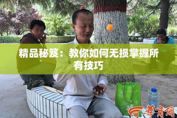 精品秘笈：教你如何无损掌握所有技巧