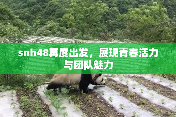 snh48再度出发，展现青春活力与团队魅力