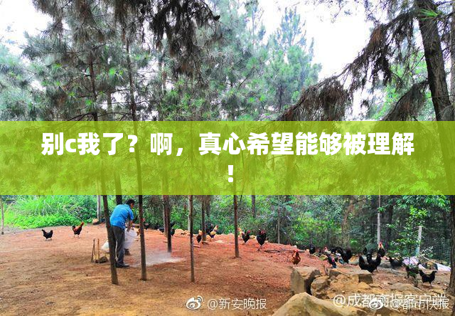 别c我了？啊，真心希望能够被理解！