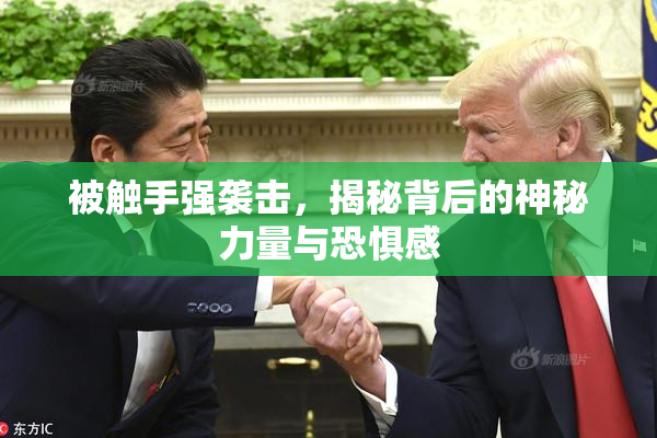 被触手强袭击，揭秘背后的神秘力量与恐惧感