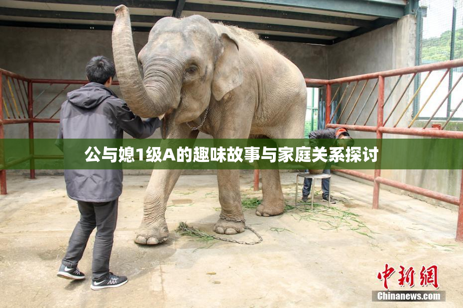 公与媳1级A的趣味故事与家庭关系探讨